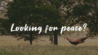 Looking for Peace? 